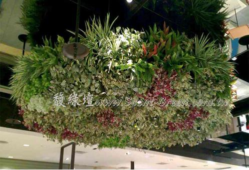 新光三越A11館-大型吊飾植生牆