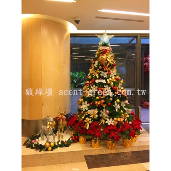 8尺 聖誕樹 (文化