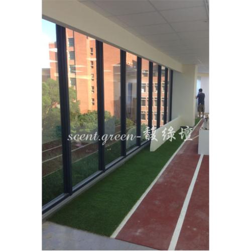 國立體育大學-室內草