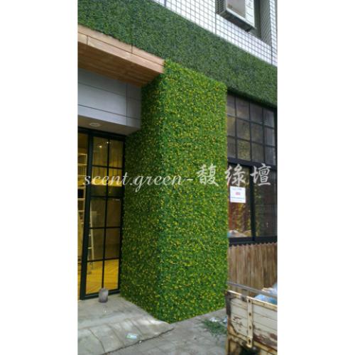 院子yard 羽葉花