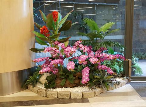 蘭花造景