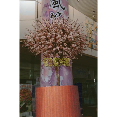 和風櫻花季-SOGO[中壢]
