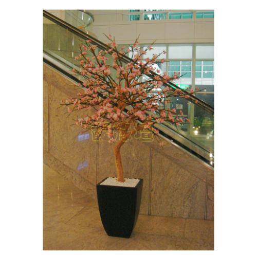 老樹幹梅花樹盆景-H.210CM (101大廳)