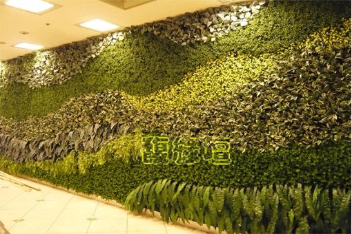 板橋遠東百貨B1植生牆