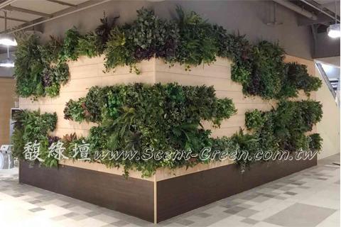 輔仁大學附屬醫院美食街植生牆