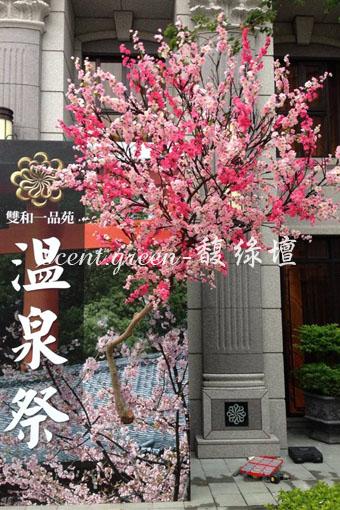 雙和一品苑-溫泉季