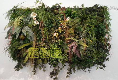 設計公司入口野趣叢生植生牆