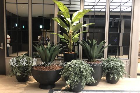 秀泰廣場-樹林