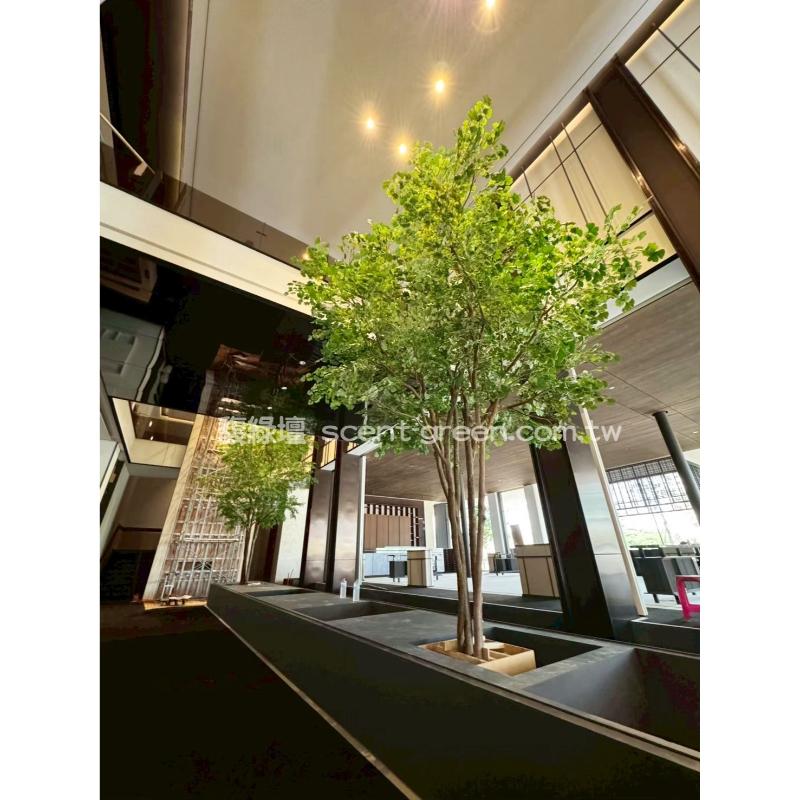 台南樣品屋-青楓及銀杏大型人造樹