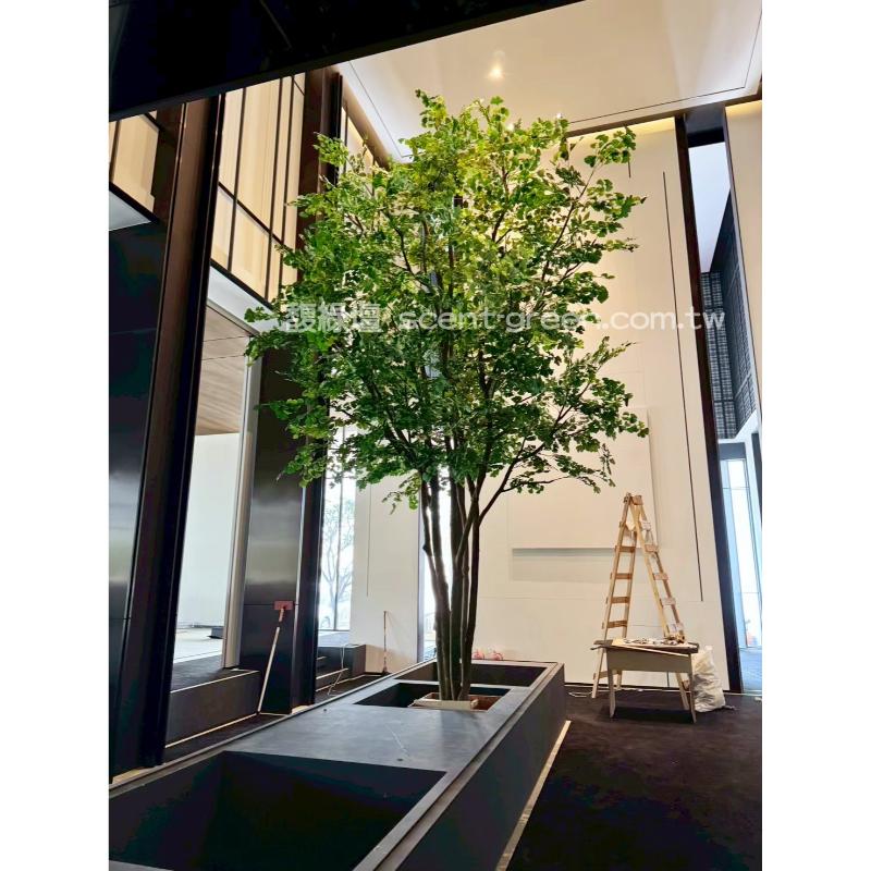 台南樣品屋-青楓及銀杏大型人造樹