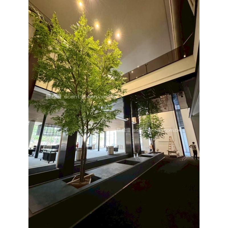 台南樣品屋-青楓及銀杏大型人造樹