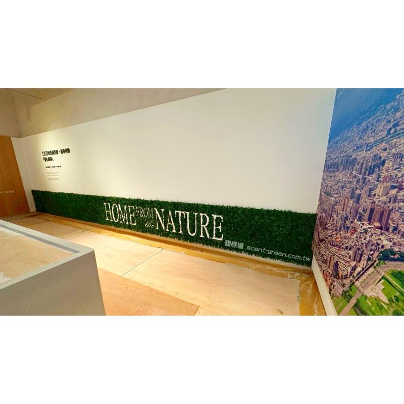 板橋樣品屋-大型人造橄欖樹