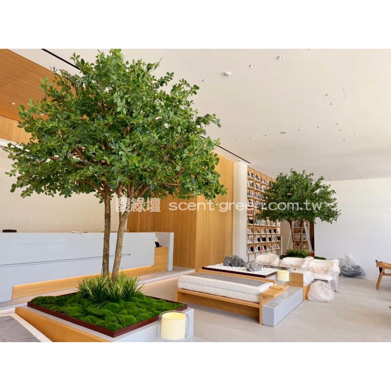 板橋樣品屋-大型人造橄欖樹