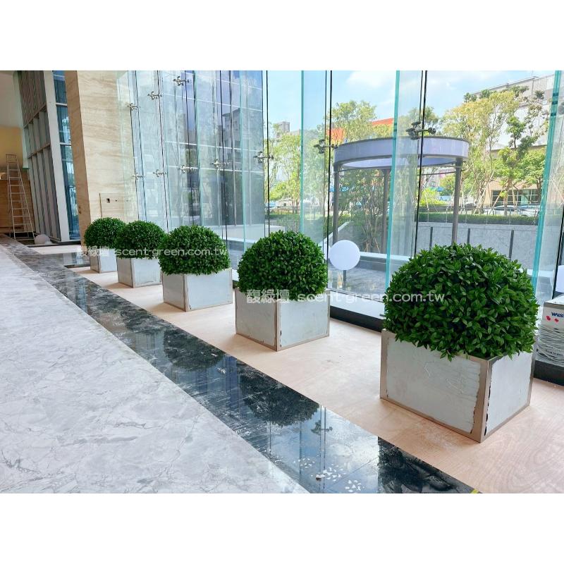 國揚企業總部-人造綠草球