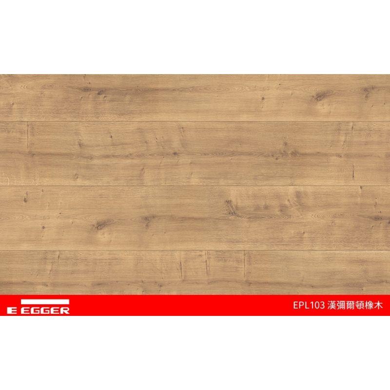 EPL103漢彌爾頓