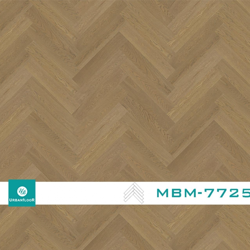 MBM-7725 奧斯塔淺橡