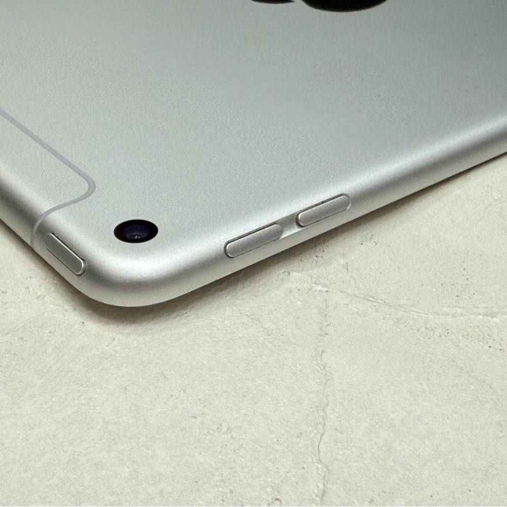 IPad MIni5  LTE 256G 銀 可插卡 追劇 上課超方便 無盒裝有配件