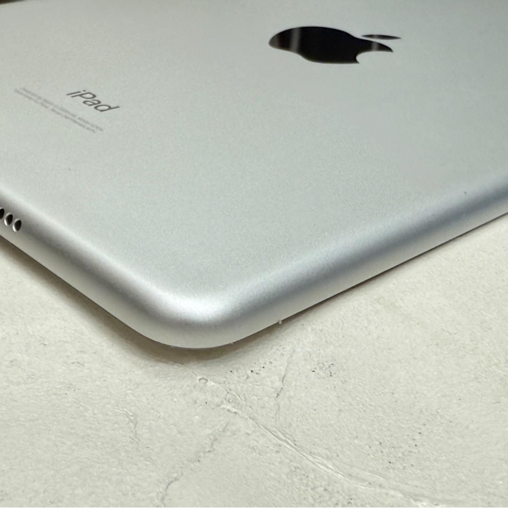 IPad MIni5  LTE 256G 銀 可插卡 追劇 上課超方便 無盒裝有配件