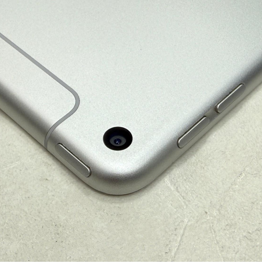 IPad MIni5  LTE 256G 銀 可插卡 追劇 上課超方便 無盒裝有配件
