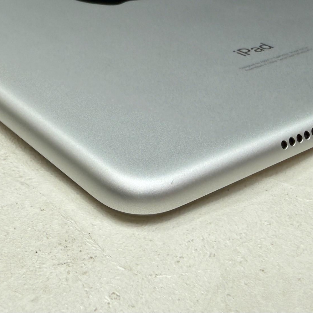 IPad MIni5  LTE 256G 銀 可插卡 追劇 上課超方便 無盒裝有配件
