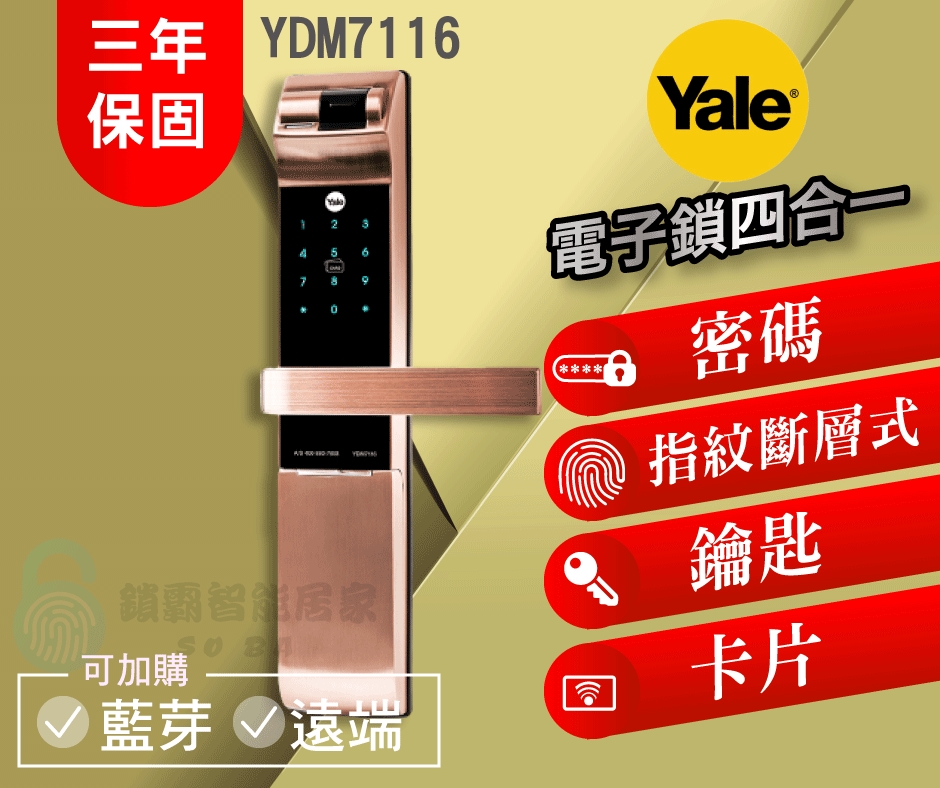 【Yale 耶魯】Y