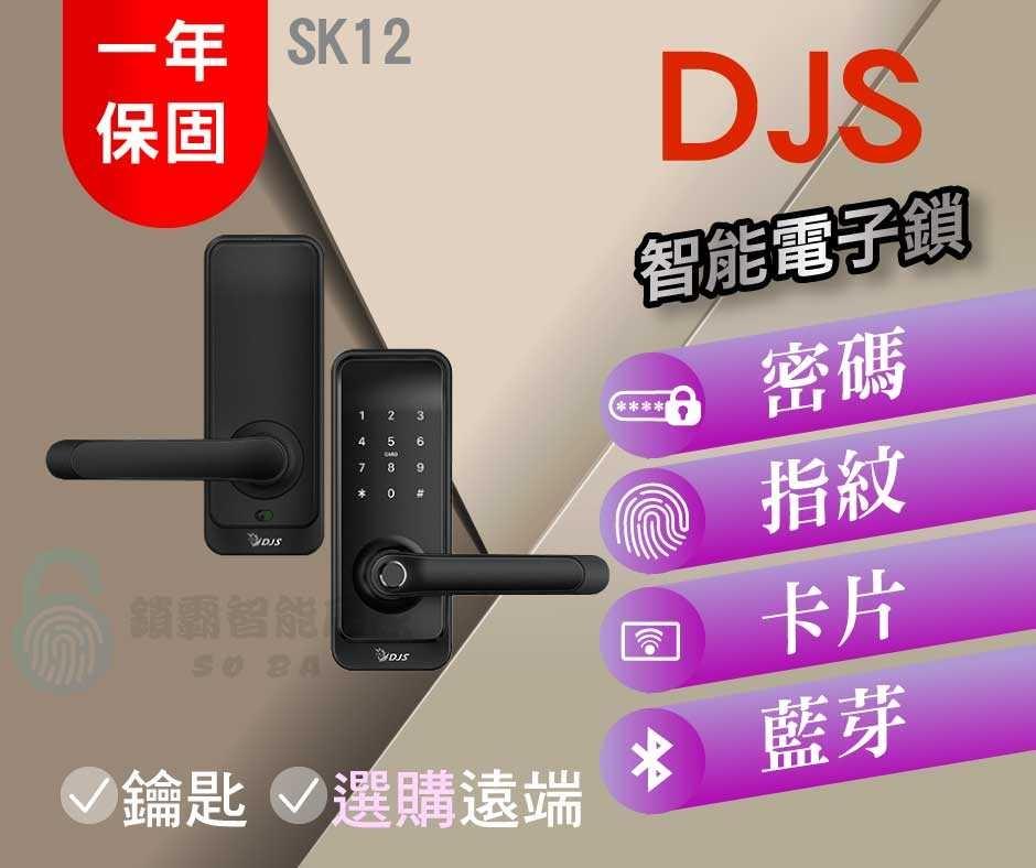 【DJS 】 SK1