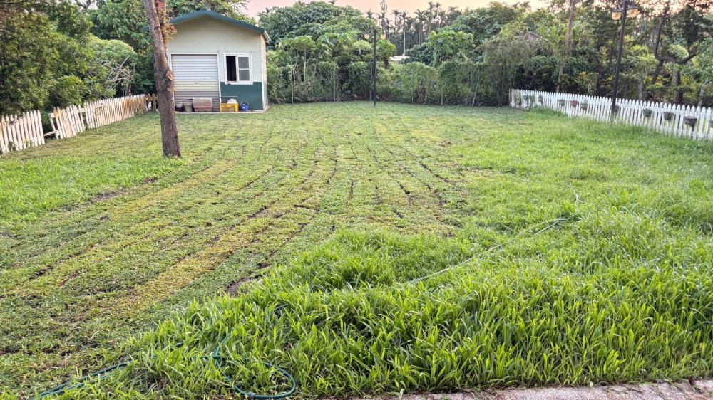 【屏東草皮種植】內埔農舍填土整地及地毯草種植工程