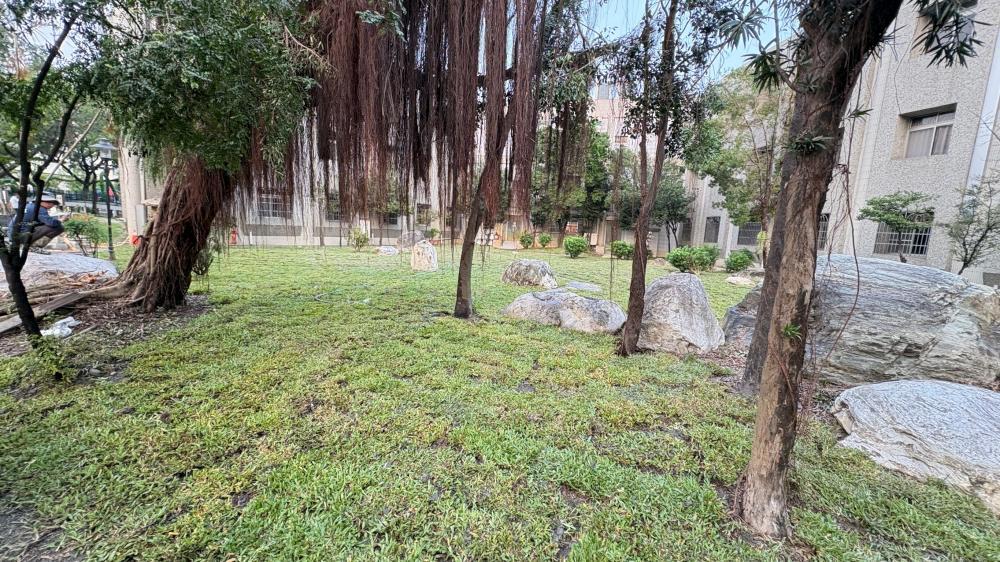 【屏東草皮種植】社福館老人文康中心後花園整地填土及草皮種植