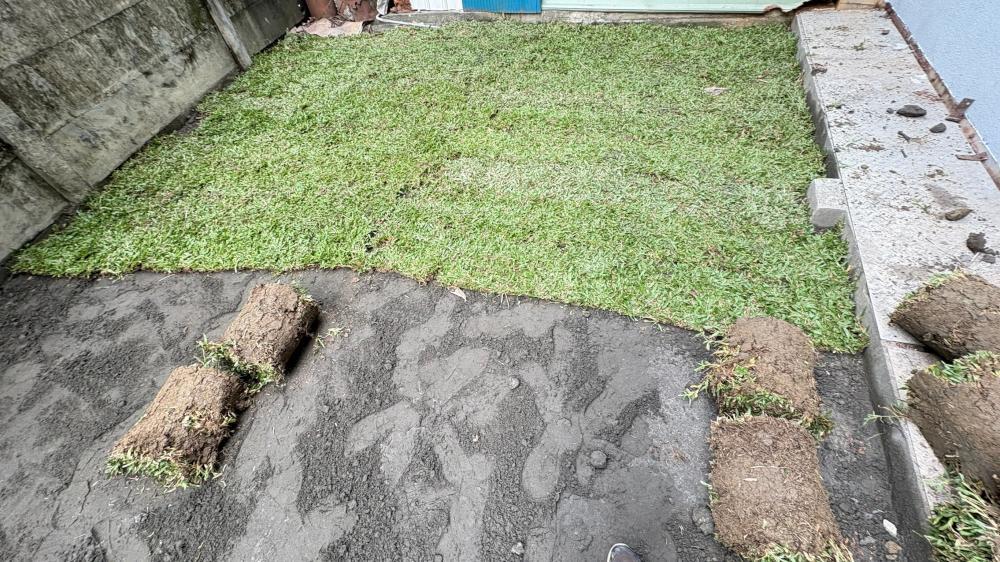 【屏東花園整地】花園人工整地、填土及地毯草種植