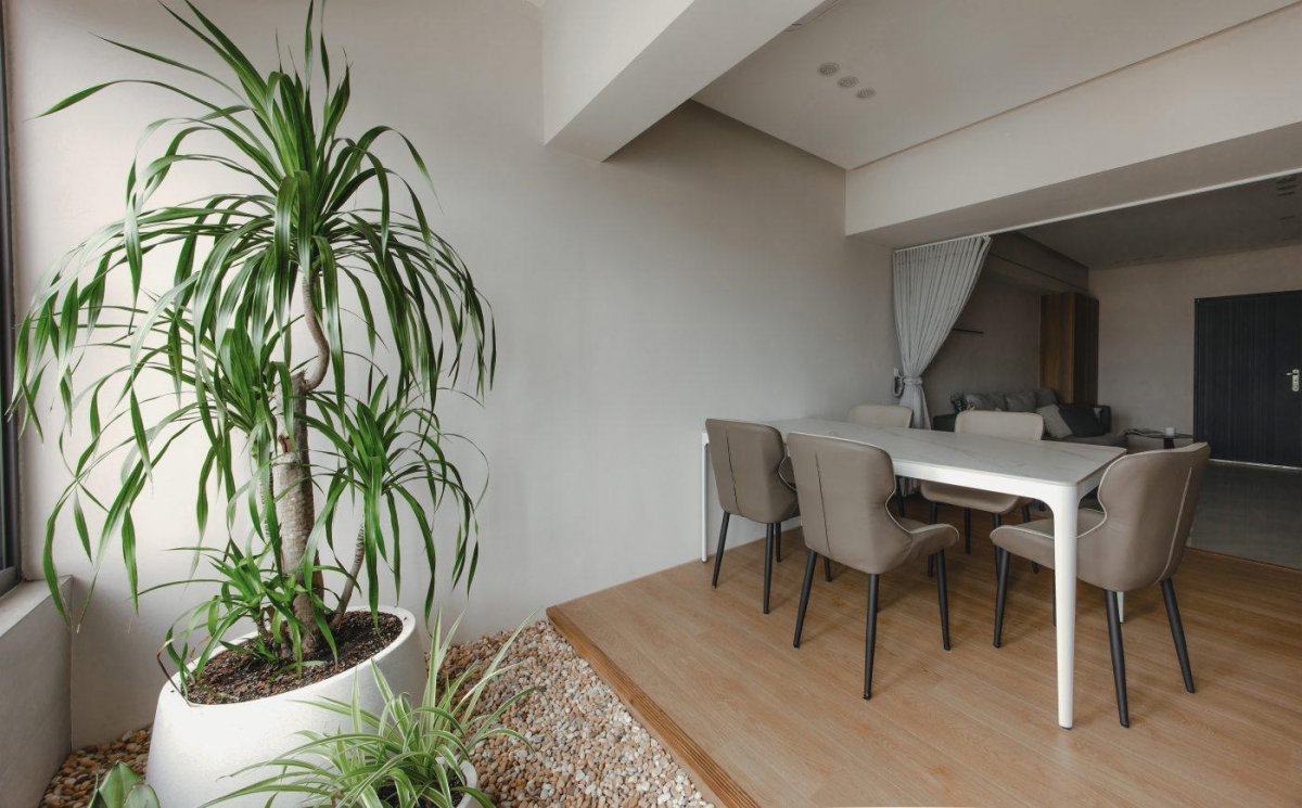 新竹住宅客餐廳窗邊大型盆栽與用餐區，呈現植栽和家具動線的距離