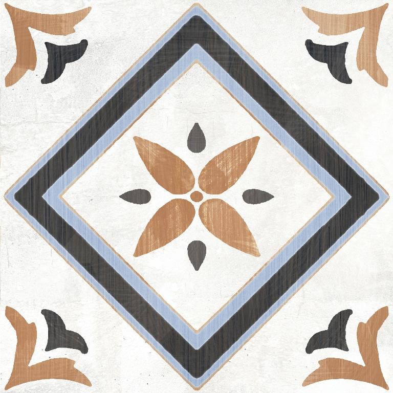 XC2081-88