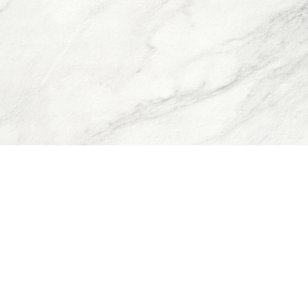 RO401201-21