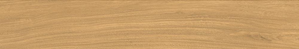 FY201211-13 PARGUET